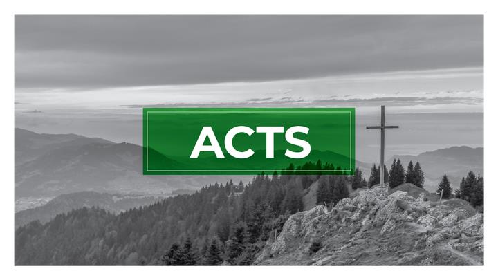 Acts: Week 11