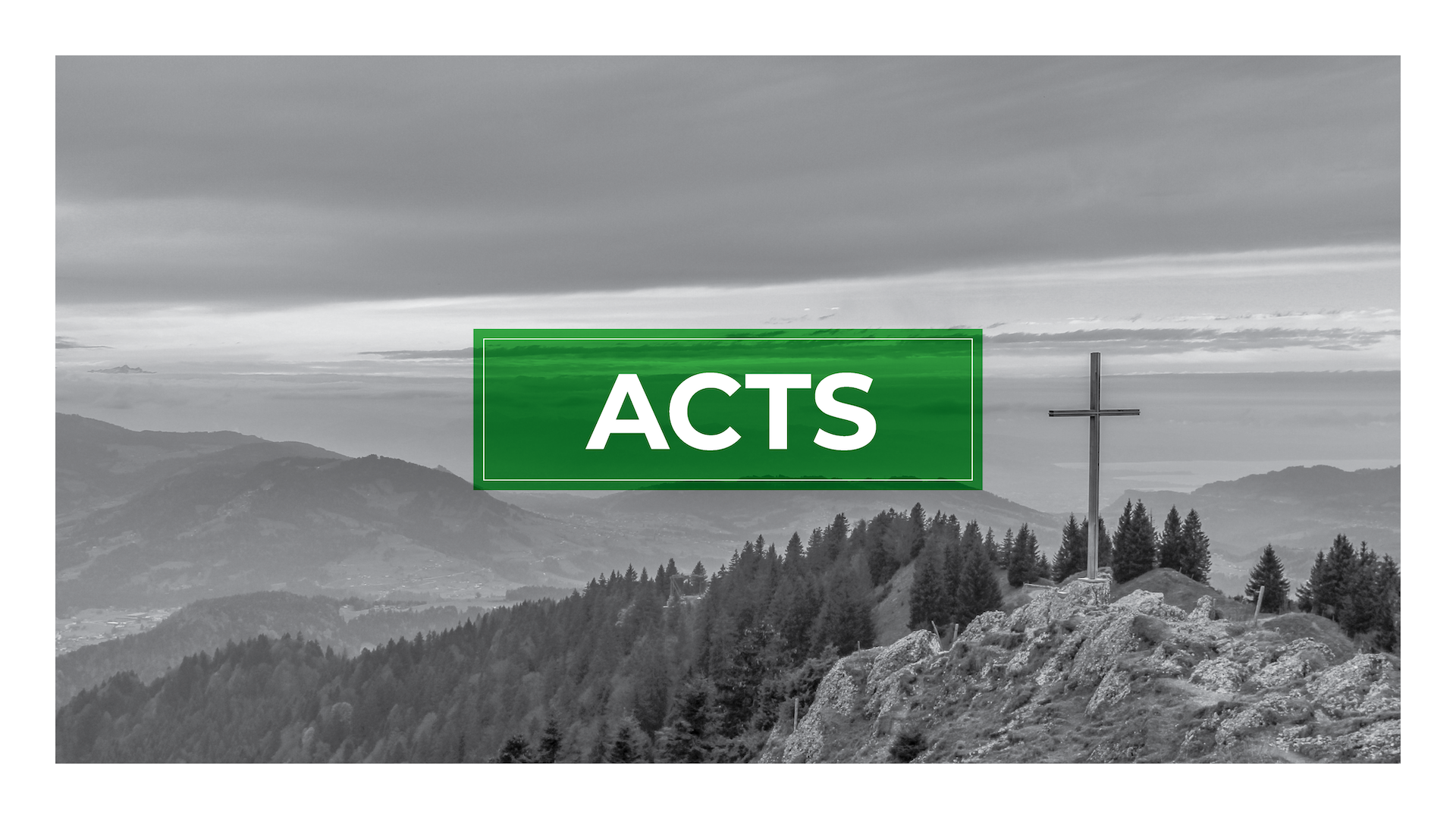 Acts: Week 5
